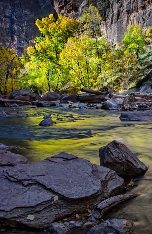 DSC_5458a.jpg