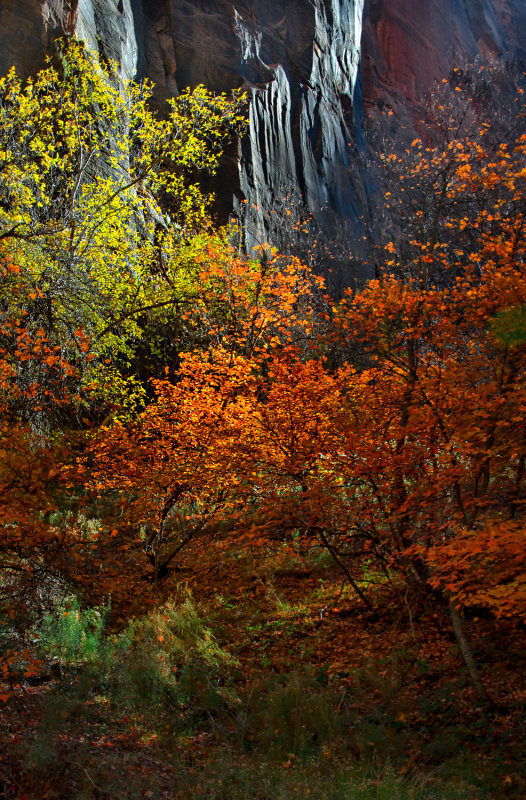 DSC_5472a.jpg