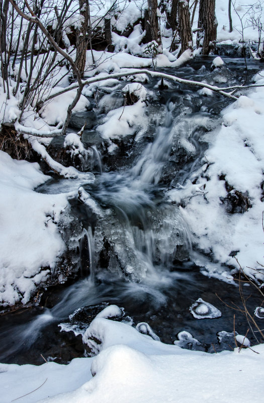 DSC_5691a.jpg