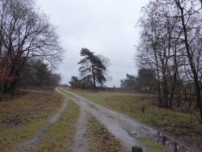 Stakenbergweg