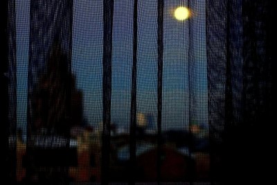 24.01.2019