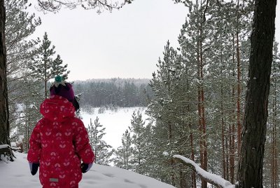 27.01.2019