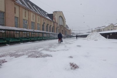 29.01.2019