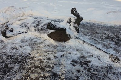 30.01.2019