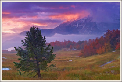 Cascade meadows under the storm