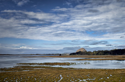 Morro Rock from Pygmy Forest