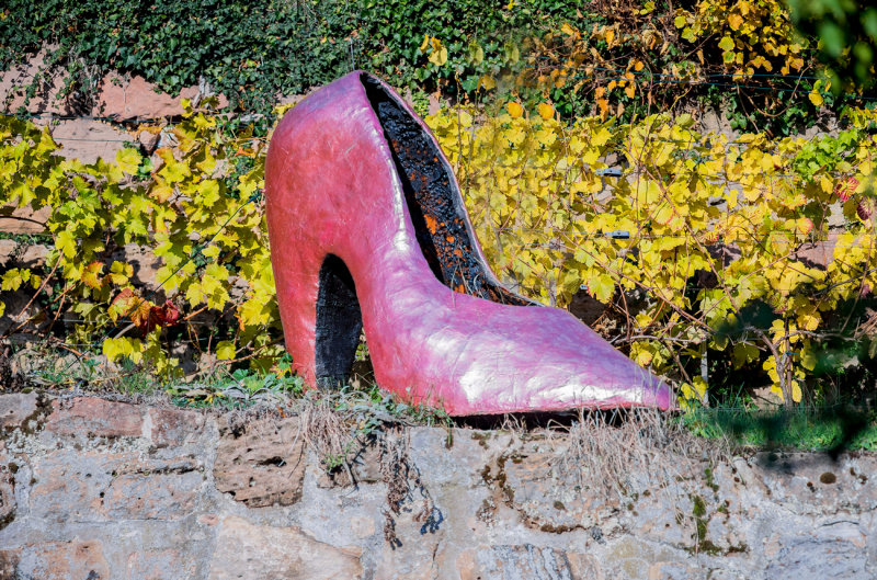 Cinderella's Shoe