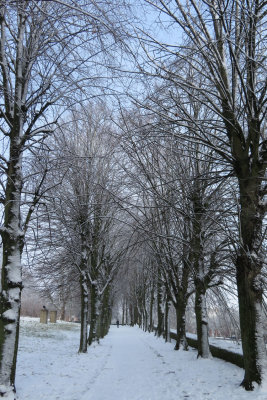 IMG_7889.JPG