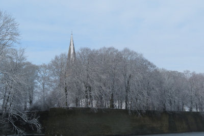 IMG_7897.JPG