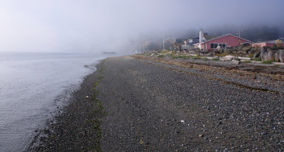 Fog at the Point