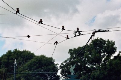 _24_0062.JPG