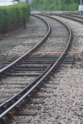 PICT0241.JPG