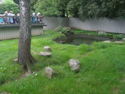 SNV80062.JPG