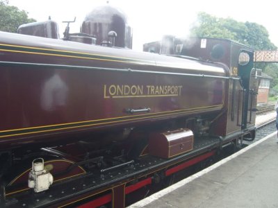 SNV80090.JPG