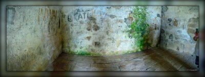 _MKZ2216-Pano.jpg