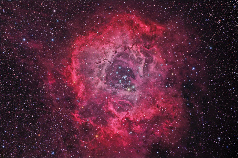 Rosette Nebula
