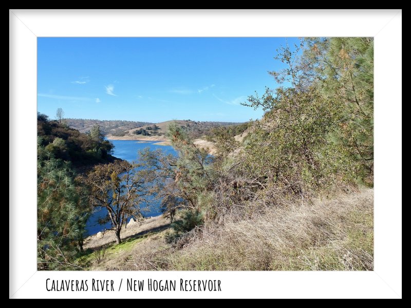 The Head of New Hogan Reservoir