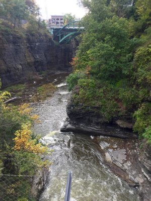 g11/85/539385/3/168779745.Ct9FswbQ.jpg