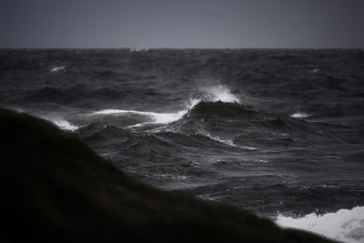 Vgor, waves