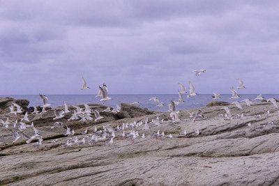 g11/89/1384389/3/168757652.UtVRiEyA.jpg