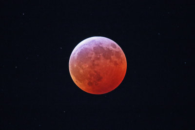 Super Blood Wolf Moon