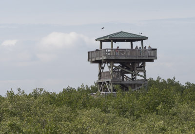 Observation Tower Manatee Viewing Center, Tampa FL
