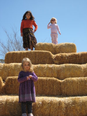 February - June 2007