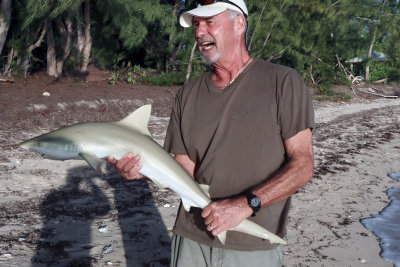 Lemon shark caught and released .. all fingers intact !