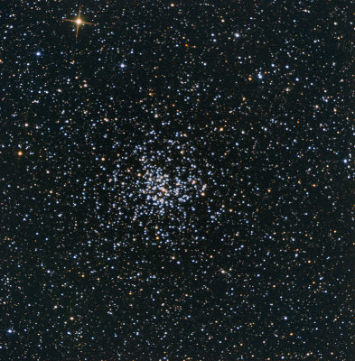 L'amas ouvert Messier 37