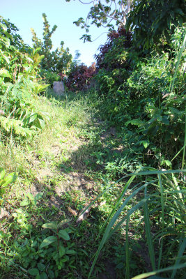 Hike up to the summit marker