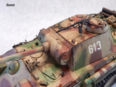 PantherA8.jpg