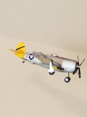 P47.jpg