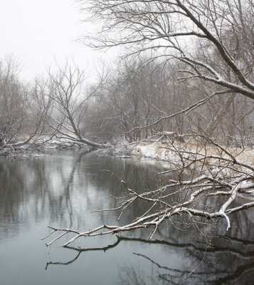 Snow at the South Branch 