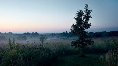 Dawn