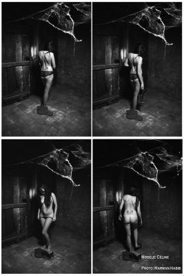 Céline - Secret of the attic / Secret du grenier