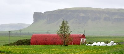 Red Quonset Barn in Iceland 439a 
