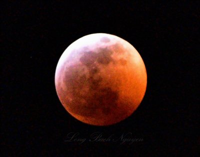 Super Blood Wolf Moon Eclipse of 2019, Seattle, Washington State 276