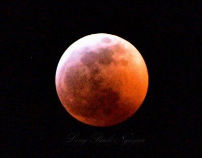 Super Blood Wolf Moon Eclipse of 2019, Seattle, Washington State 276 