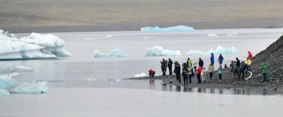 Tourists and icebergs at  Jkulsrln glacial lagoon, Iceland 913a