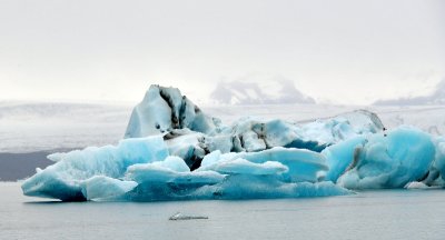 Icebergs in Jkulsrln glacial lagoon and Breiomerkurjokull glacier, Iceland 1021  