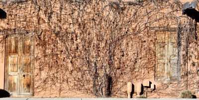 Doors and Tree in Old Town Albuquerque, New Mexico 107 