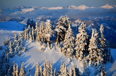 Lennox Mountain, Cascade Mountains, Washington 585 