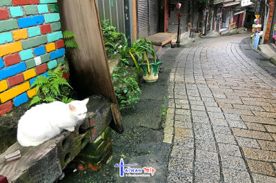 Pinxi Old Street