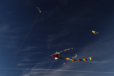 In the Wild Blue Yonder