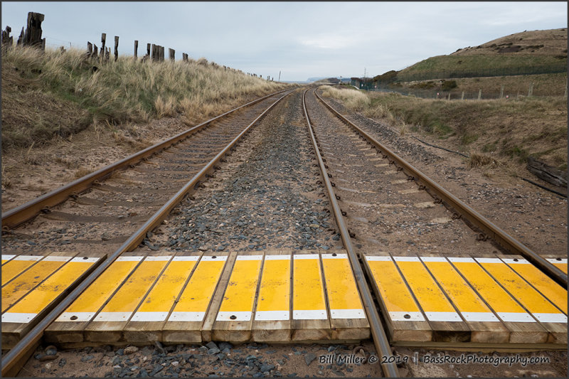 Rail Crossing