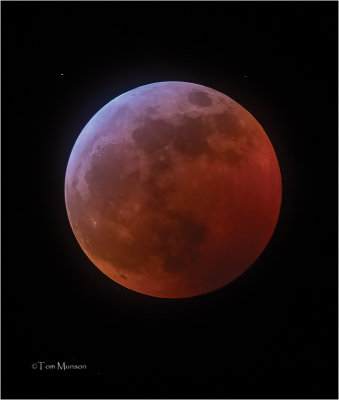  Blood Moon 