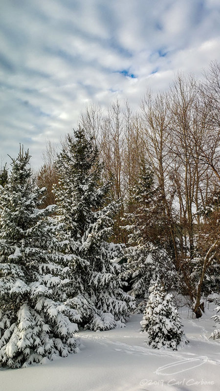 01/22/2019 - LRM-153749.jpg