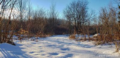 01/16/2019 - LRM-160525.jpg