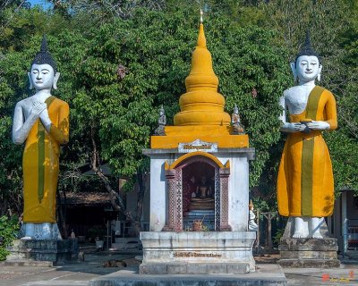 Wat Pa Chedi Liam Buddha Image Shrine (DTHCM2682)