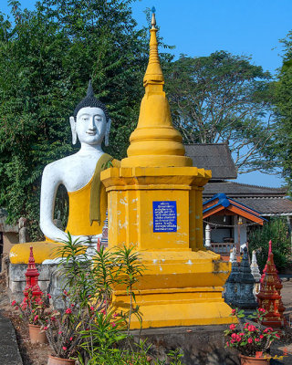 Wat Pa Chedi Liam Buddha Image Shrine and Memorial Chedi (DTHCM2684)